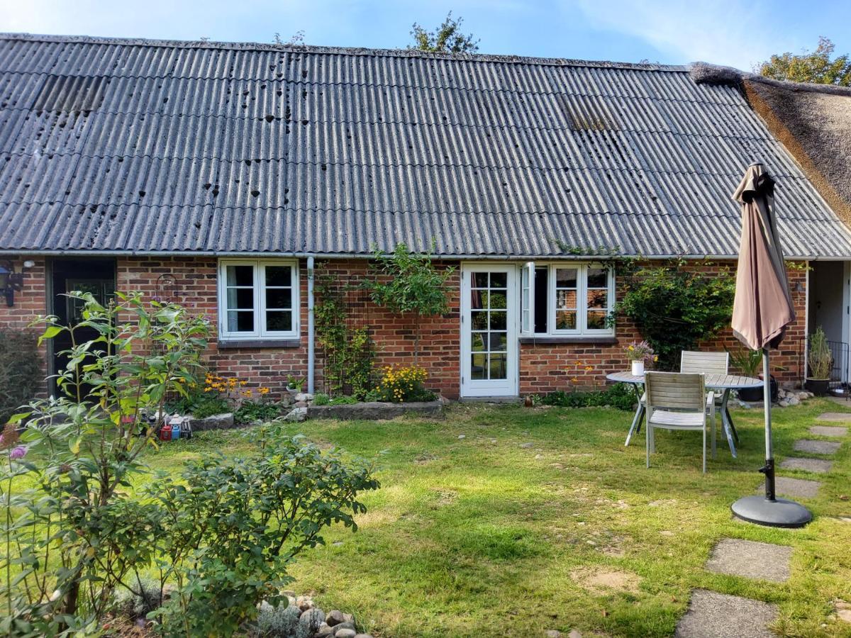 Skjern Ringkobing Fjord B&B المظهر الخارجي الصورة